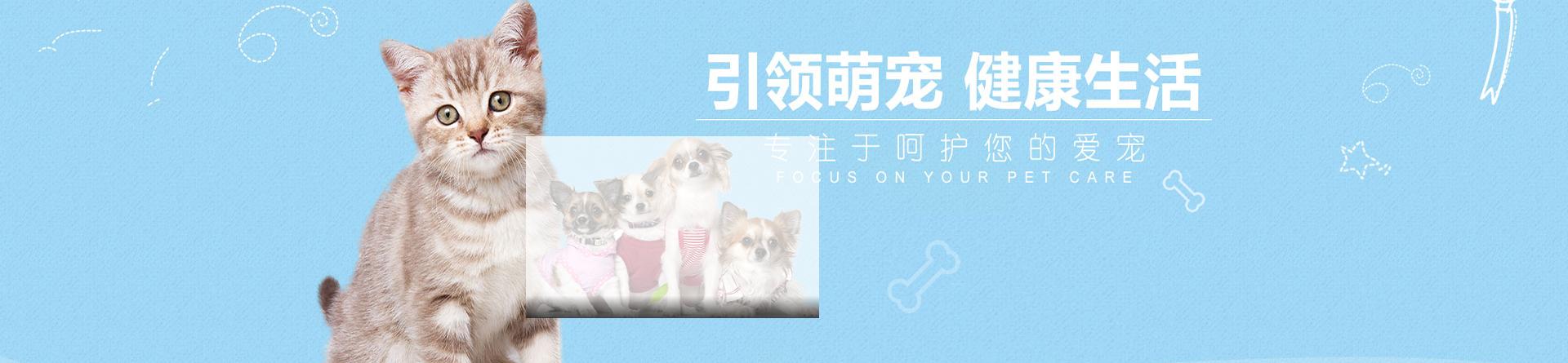 引领萌宠，健康生活