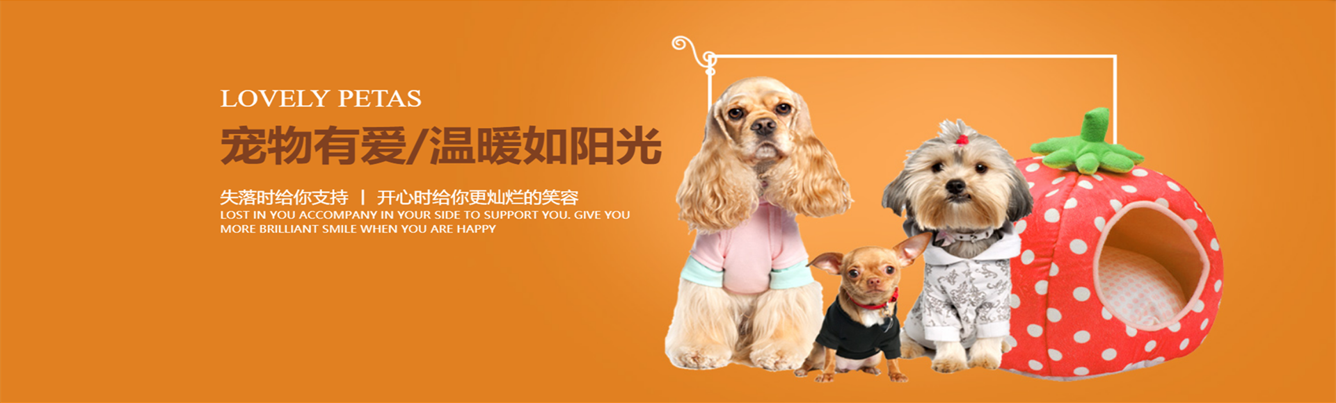 宠物有爱，温暖如阳光