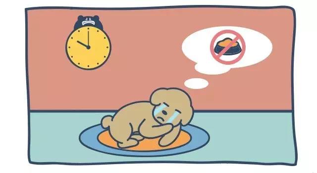 绝育手术前8-12小时是需要停食的