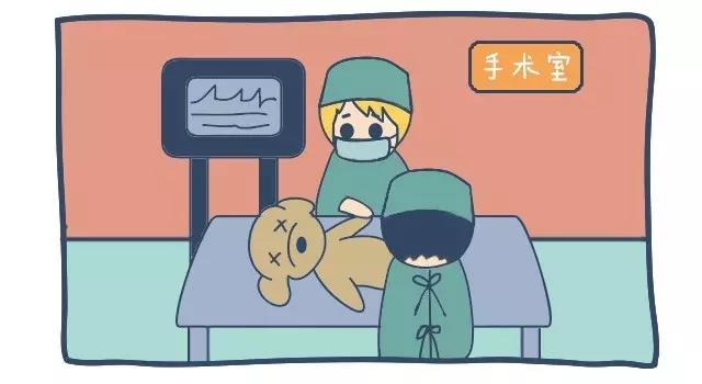 正在进行绝育手术的宠物
