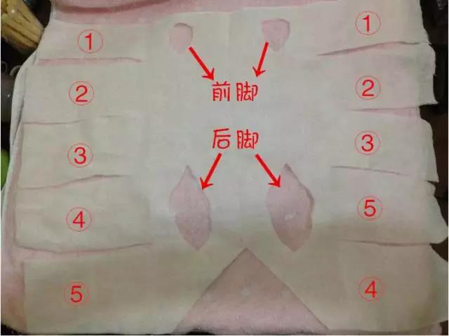 绝育手术后的衣服设计