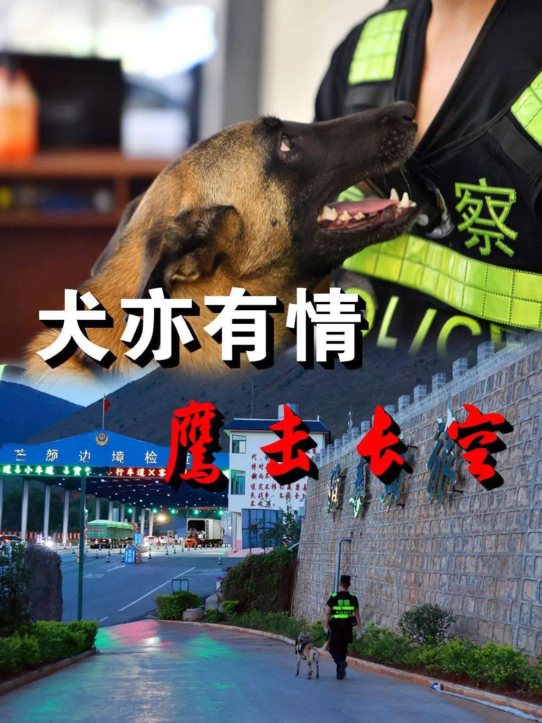 警犬