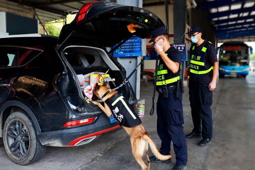 鹰空在给车辆做检查