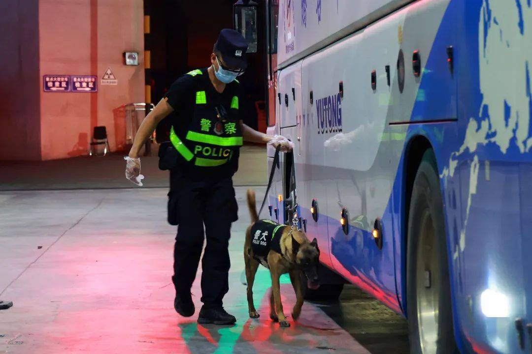 鹰空在检查车辆