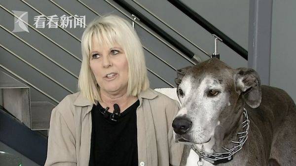 主人与她的爱犬