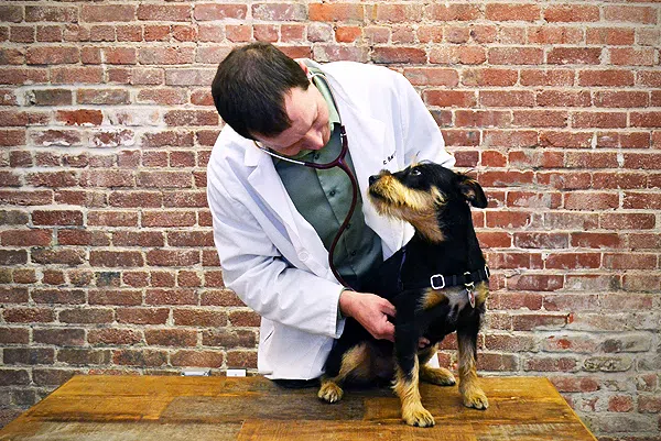 宠物犬巴斯特与埃里克·巴查斯博士