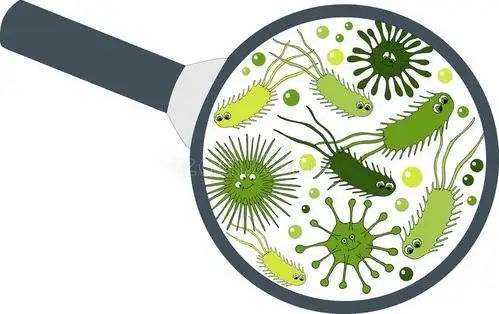 水中的微生物放大图
