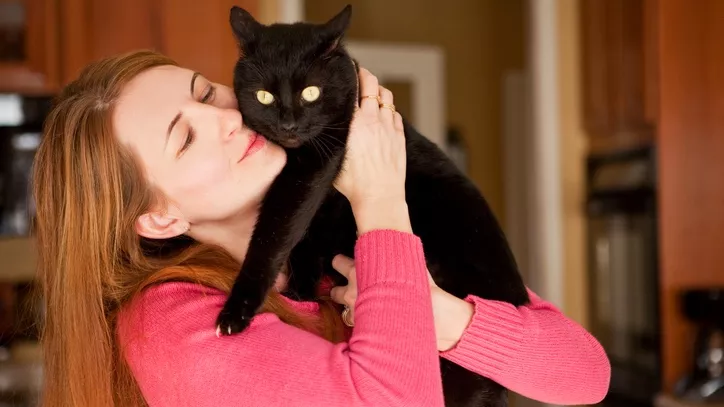 猫咪