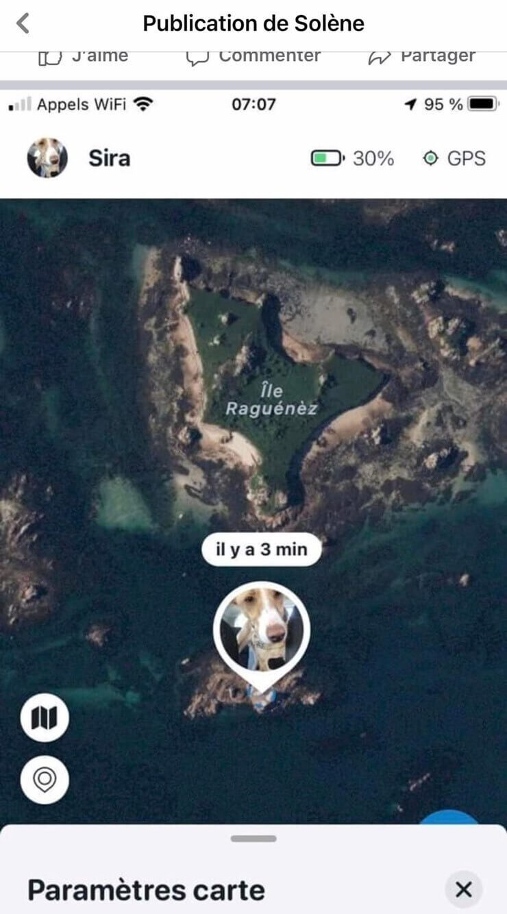 牵引 gps 应用中狗在海洋岩石上的屏幕截图