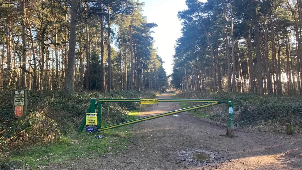 致命袭击发生在伍德霍尔温泉附近的奥斯特勒种植园的停车场