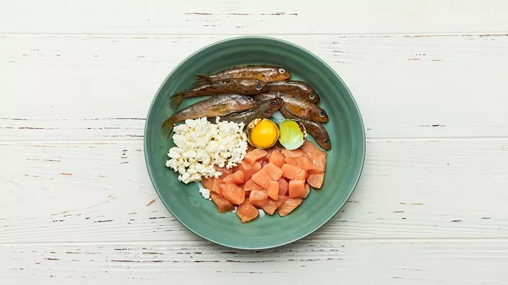 猫咪吃生食猫粮有什么好处