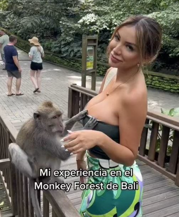 女子与猴子合影