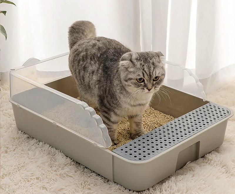 正在使用猫砂盆的猫咪