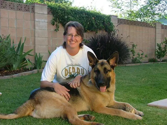如何训练德国牧羊犬不咬人或物品？