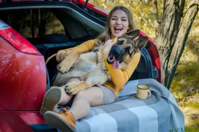 女主人与她的德国牧羊犬在车里嬉戏