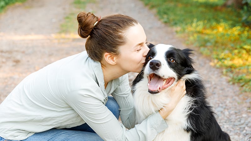 女主人在于边境牧羊犬友好互动