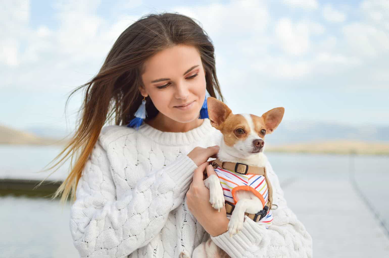 女人抱着她的爱宠吉娃娃犬