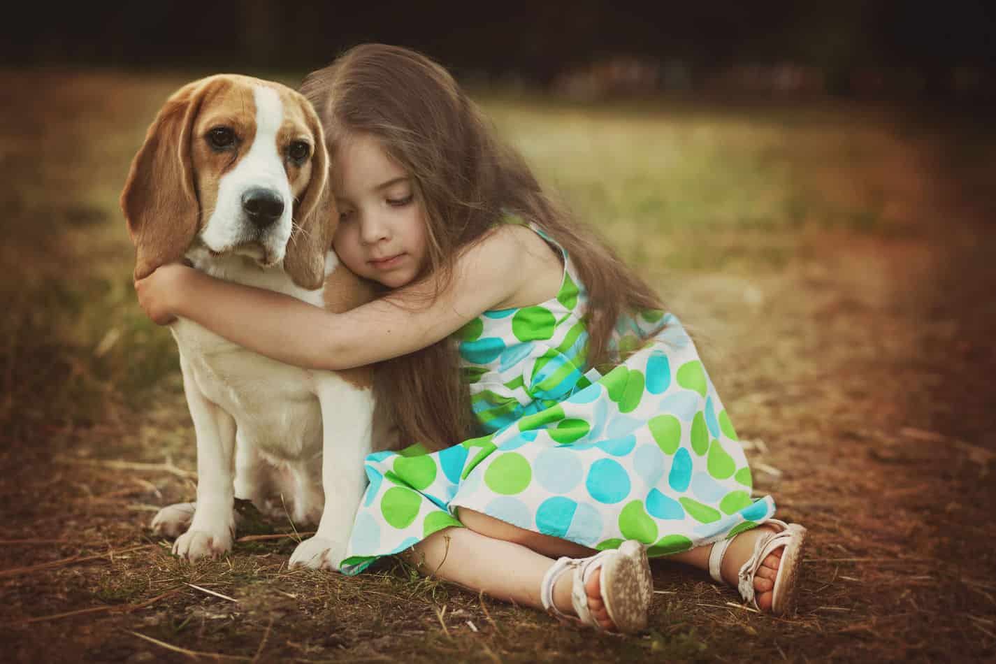 比格犬与小女孩