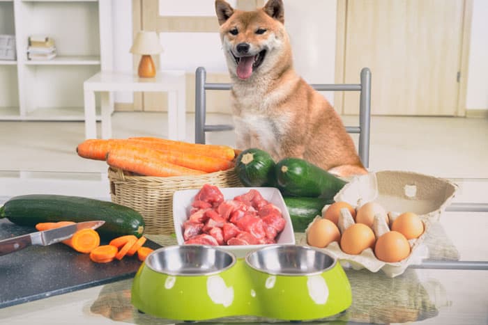 柴犬可以吃人类食物吗？