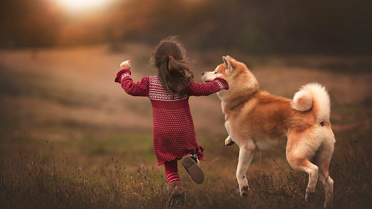 小女孩与柴犬一起嬉戏