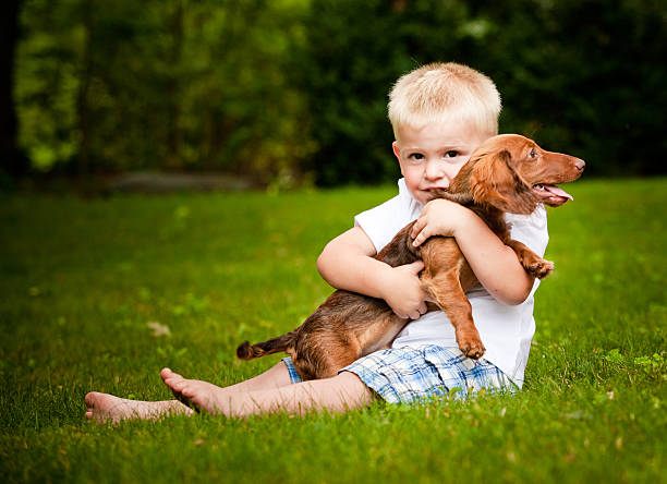 小男孩抱着腊肠犬