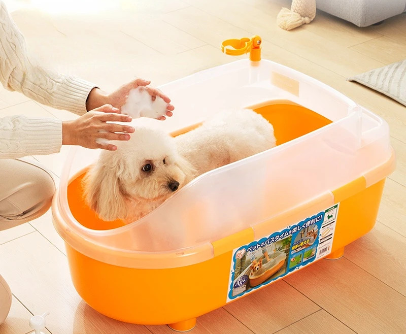 泰迪犬生产后的幼犬多久可以洗澡？