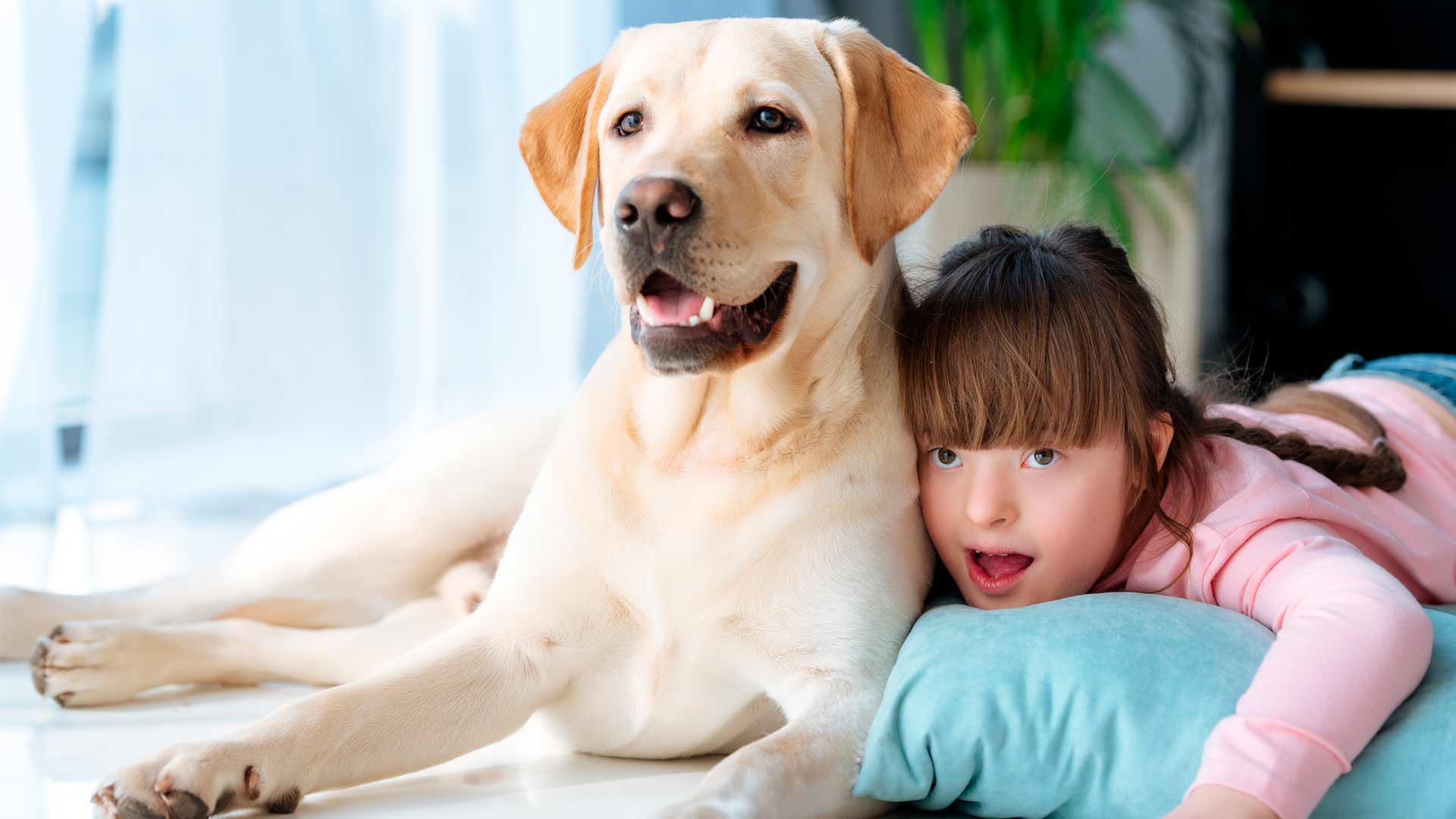拉布拉多犬和小孩在床上休息