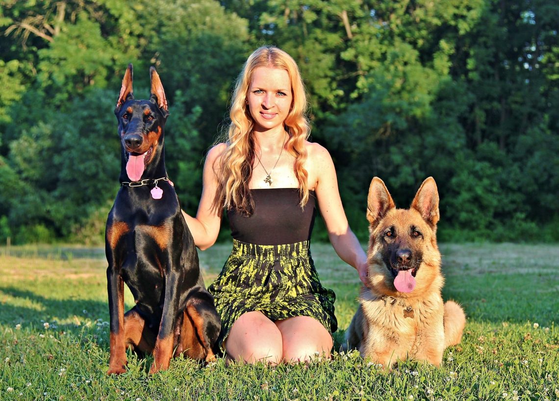 如何训练德国牧羊犬与其他宠物和家禽和谐相处？